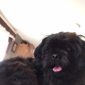 Meet your Posher, Payton